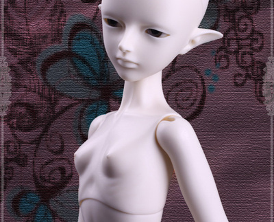 四分二代女体小胸体